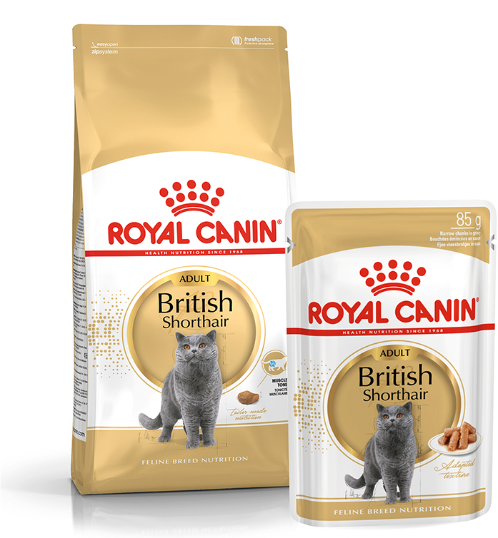 Сухой корм Royal Canin British Shorthair Adult сбалансированный для британских короткошерстных кошек