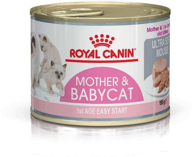 Консервы Royal Canin Mother&Babycat мусс в период первой фазы роста и отъема для беременных и кормящих кошек и котят