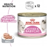 Консервы Royal Canin Mother&Babycat мусс в период первой фазы роста и отъема для беременных и кормящих кошек и котят