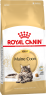 Сухой корм Royal Canin Maine Coon Adult сбалансированный для взрослых кошек породы Мейн Кун