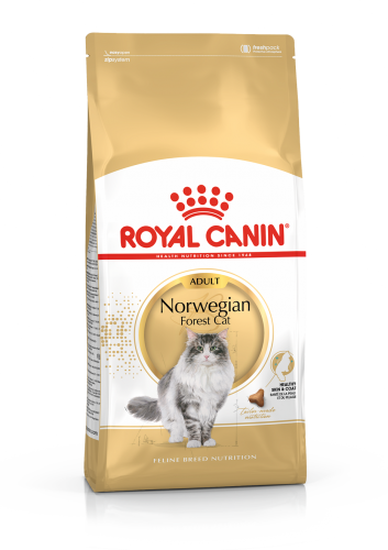 Сухой корм Royal Canin Norwegian forest adult для норвежских лесных кошек