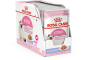 Паучи Royal Canin Kitten Instinctive в желе для котят
Рекомендуемый суточный рацион
