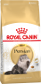 Сухой корм Royal Canin Persian Adult сбалансированный для взрослых персидских кошек
Рекомендуемый суточный рацион (в граммах)
