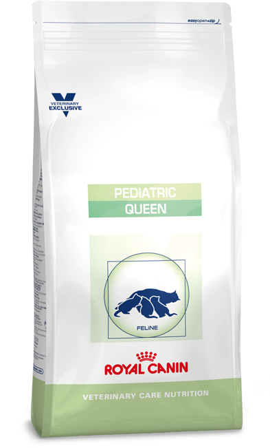 Сухой корм Royal Canin Pediatric Queen для беременных и кормящих кошек