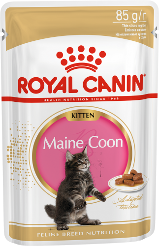 Паучи Royal Canin Kitten Maine Coon соус для котят породы мейн-кун