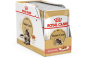 Паучи Royal Canin Maine Coon Adult для взрослых кошек породы мейн кун, кусочки в соусе 85 г