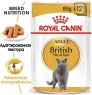 Паучи Royal Canin British Shorthair Adult для взрослых британских короткошерстных кошек, кусочки в соусе 85 г