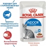 Паучи Royal Canin Indoor Sterilised в соусе для стерилизованных кошек, живущих в помещении